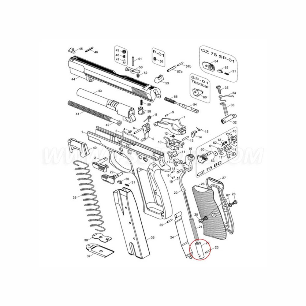 CZ 75 SAFETY  DETENT PLUNGER RIGHT